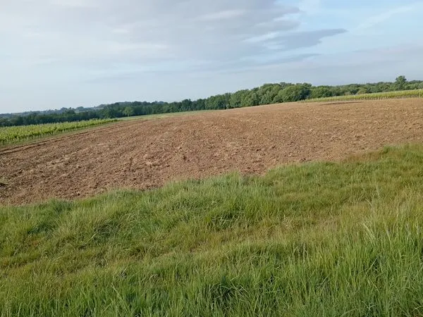 Terrain agricole