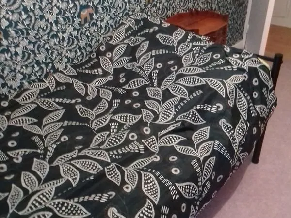 Colocation chambre