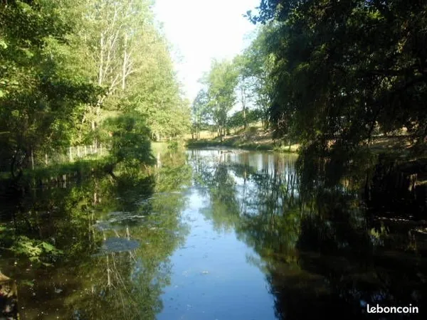 Terrain de loisir avec étang