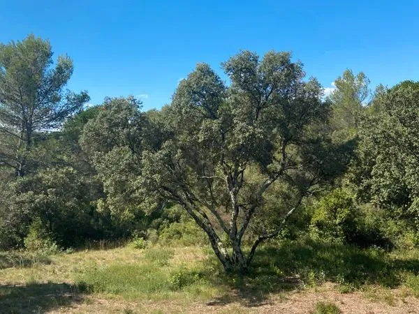 Terrain Bernis