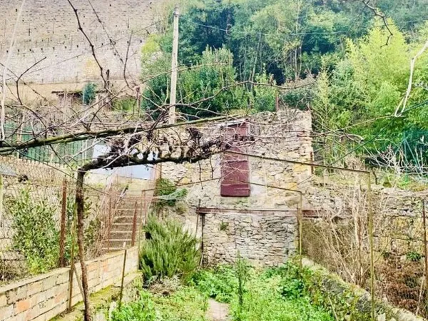Au pied de la Cité maison avec patio, dépendance et jardin