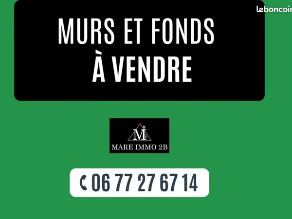 Murs et fonds de commerce