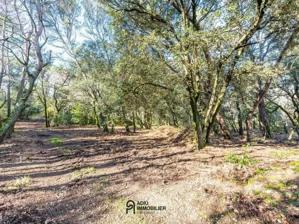 Terrain constructible à vendre secteur résidentiel - 3 367 m² avec fort potentiel