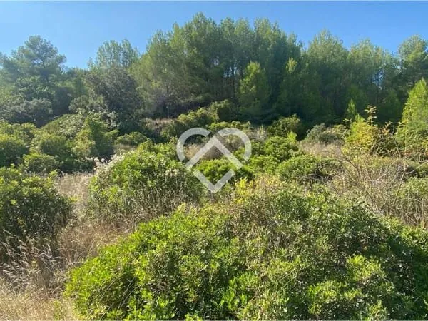 Terrain 9931 m²