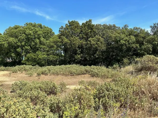 Terrain 779 m²