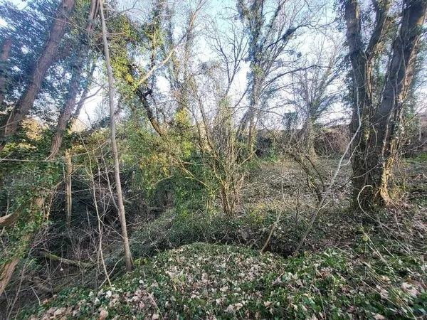Terrain 2447 m²