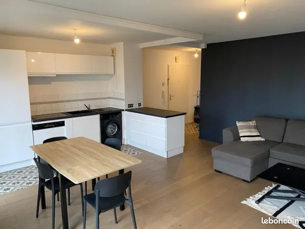 Appartement refais a neuf meublé 2 chambres - Centre-ville