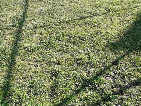 Terrain 1340 m²
