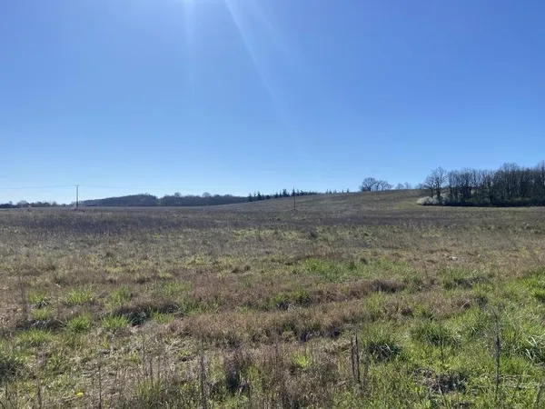 Terrain