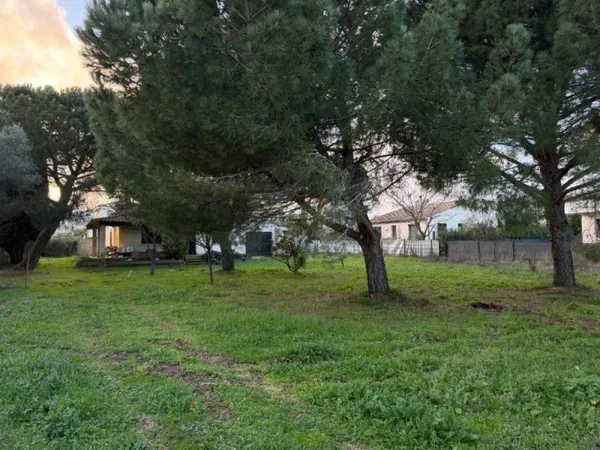 Terrain 269 m²