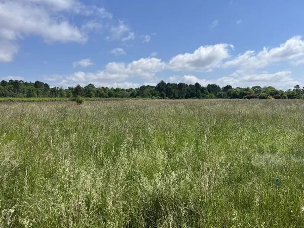 Terrain 1605 m²