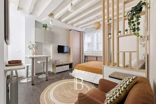 Appartement 1 pièce 19 m²