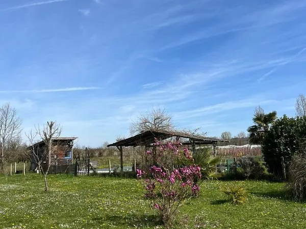 Maison+annexe d'habitation+terrain+piscine