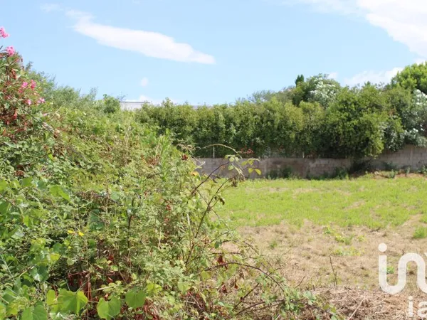 Terrain 300 m²