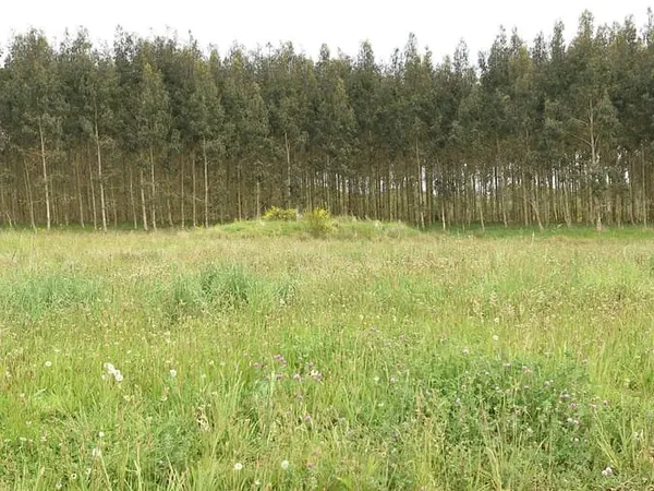 Terrain 1150 m²