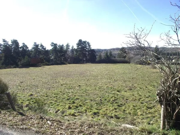 Terrain constructible