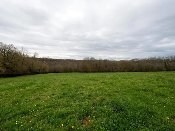Terrains - 88 086 m² - Lalongue (64)