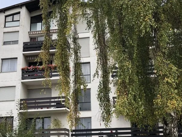 Studio 1 pièce 19 m²