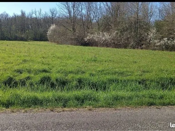 Terrain, agricole