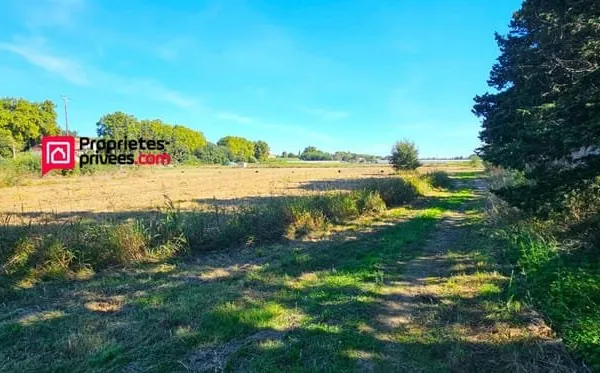 Terrains agricoles à Elne d'une superficie totale de 29 154 m2