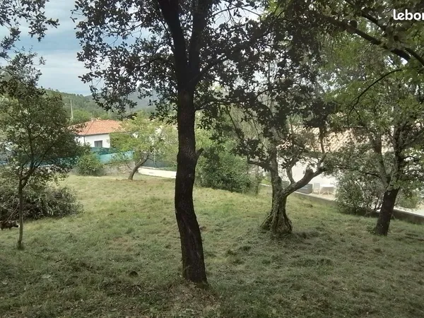 Terrain constructible