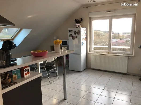 Appartement Location Belfort 3p 60m² 600€