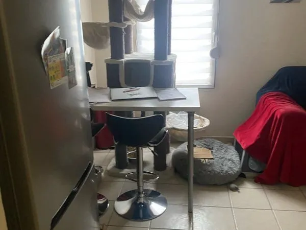 Appartement T2