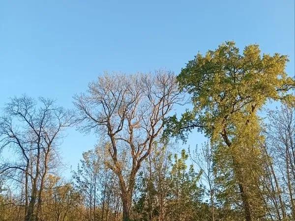 3 pièces au centre ville de Versailles