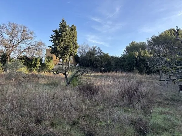 Terrain 2000 m²
