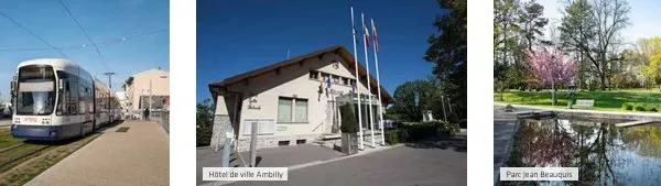 Achat : Appartement Ambilly (74100)