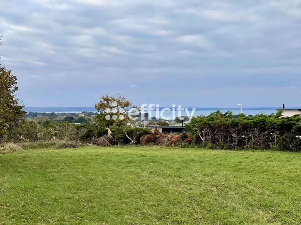 Terrain 3100 m²