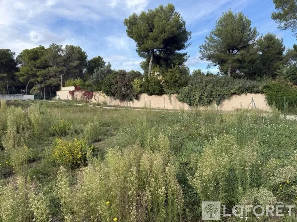 Terrain 532 m²