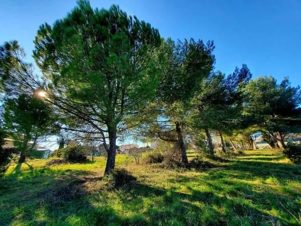 Terrain
