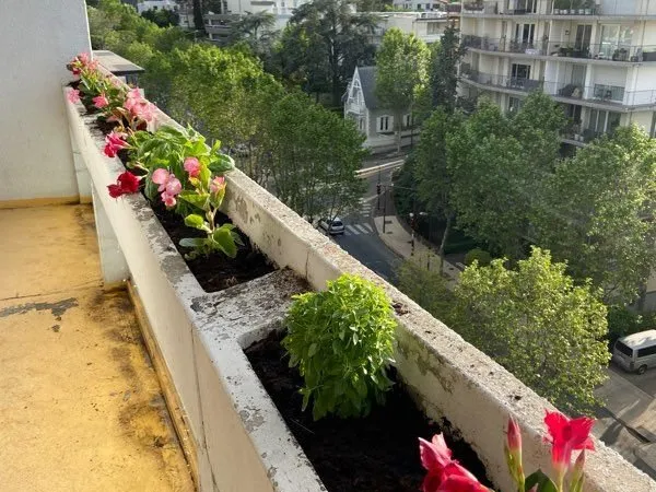 Apparemment T3 à Chamalières
