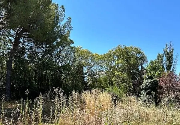 Terrain 789 m²