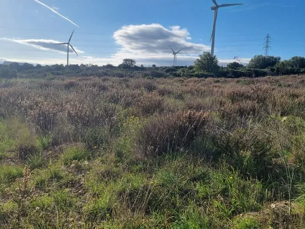 Terrain 10000m2 baixas