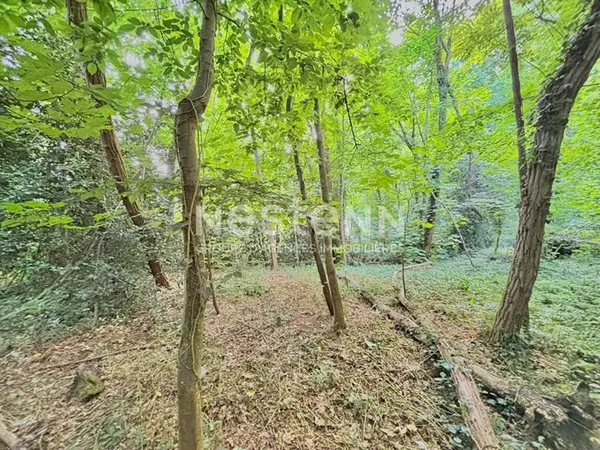 Unique à vendre à Vauhallan : terrain + bois privé avec possibilité d'agrandir via parcelle voisine