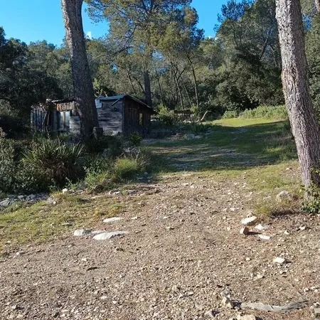 Mazet terrain forage