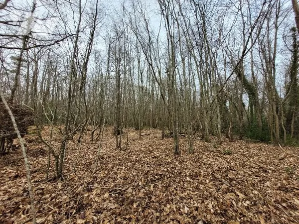 Terrain 100532 m²