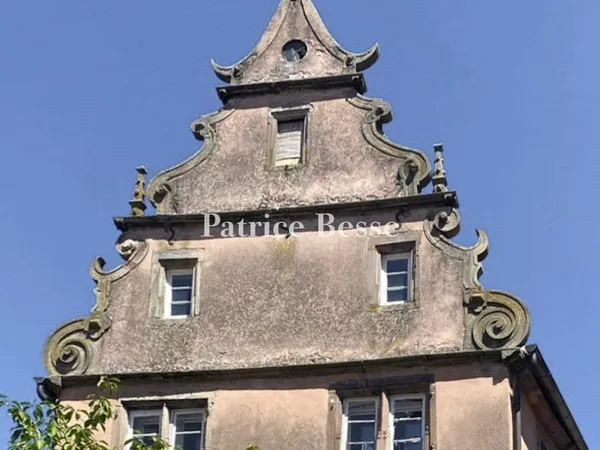 En Alsace, dans un bourg avec commerces et services, un emblématique Monument Historique de style Re