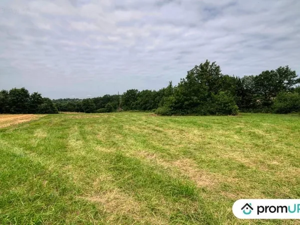 Terrain 7103 m²
