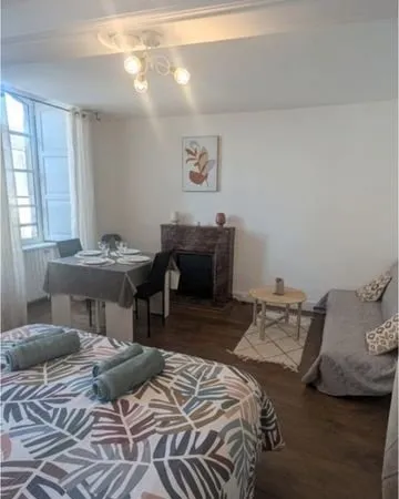 Appartement plein centre Ville