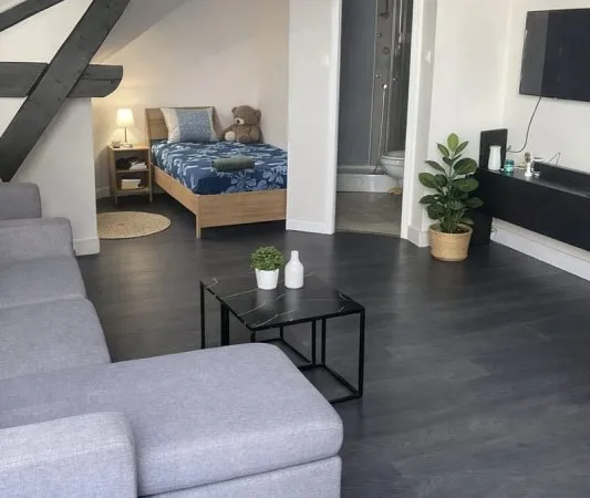 Nancy, faubourg des 3 maisons, studio loué