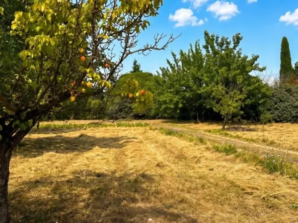 Terrain 1100 m²