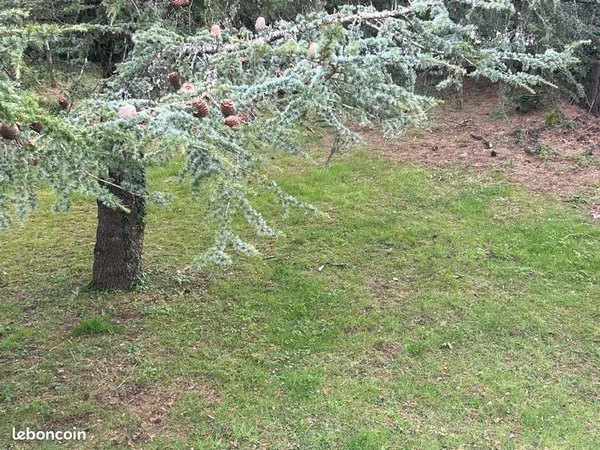 Terrain centre Plescop 350m2
