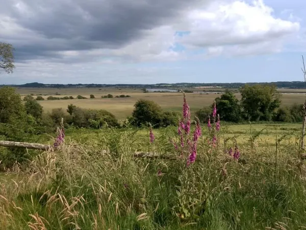 Terrain Béganne vue Vilaine