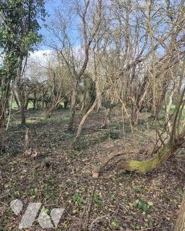 Terrain 3880 m²