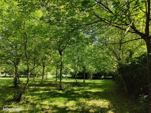 Vente terrain St-Rome-de-Cernon