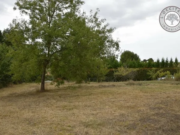 Terrain constructible