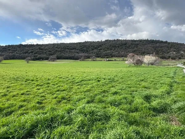 À vendre ou à louer - Bureaux médicaux dans future maison de santé pluridisciplinaire Le Domaine des